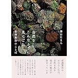 自然をこんなふうに見てごらん 宮澤賢治のことば