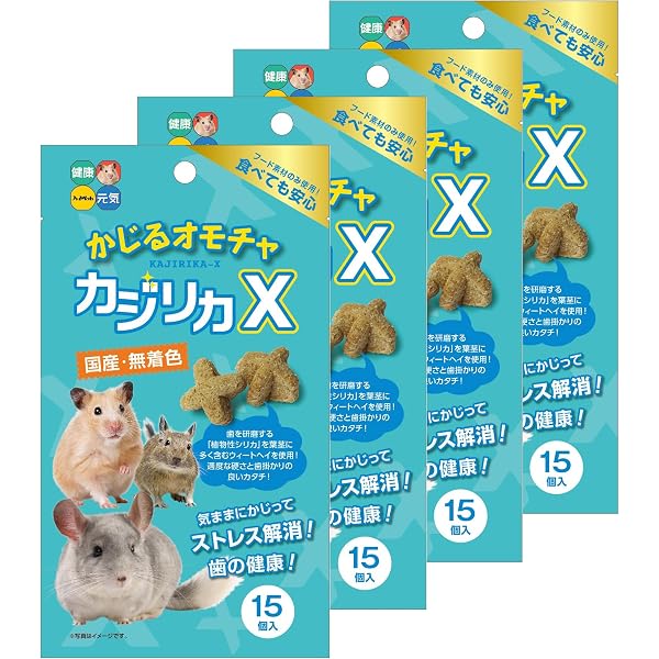 Amazon.co.jp: ザ・プレーリードッグ&ジリス: 食事・住まい・接し方