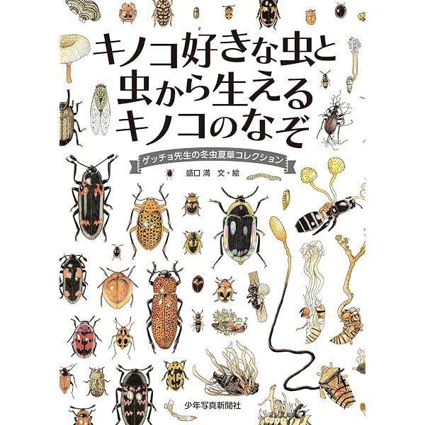 Amazon.co.jp: 新訂 冬虫夏草ハンドブック : 盛口 満, 盛口 満, 安田