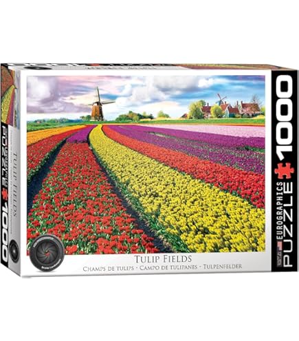 ファンタジック パリ 1000ピース ジグソーパズル Amazon.com: 1000 Pieces Puzzles for Adult Wooden Jigsaw Puzzle