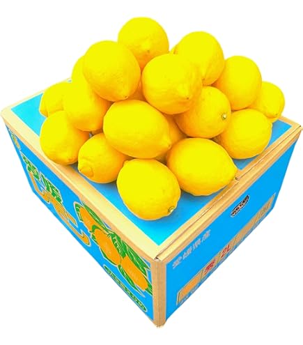 愛媛県産 瀬戸内レモン 10キロ 無農薬レモン 愛媛県産 レモン 10kg 【完全無農薬】 瀬戸内とれたて自然農レモン10kg