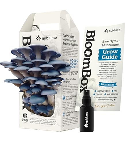 Amazon.co.jp: なめこ栽培キット 筒型なめこ マサル 抱き枕 ぬいぐるみ