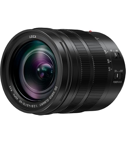 PANASONIC LUMIX G Leica DG Vario-ELMARIT Professional Lens, 12