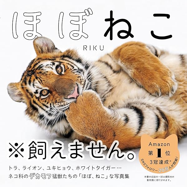 とらねこページ Amazon.co.jp: とらのこ 電子書籍: RIKU: Kindleストア