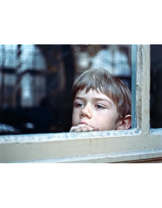 Amazon.co.jp: マノエル・ド・オリヴェイラ Blu-ray BOX 収録：『家路