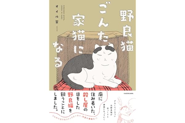 野良猫ごんた、家猫になる