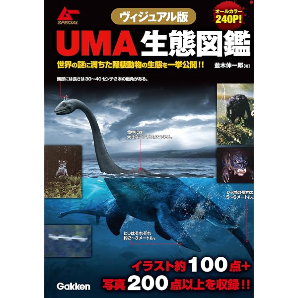 Amazon.co.jp: ヴィジュアル版 超古代オーパーツ図鑑 eBook : 並木