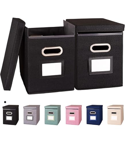 Leitz Premium Archive Box with Locking Flap, 120 mm Spine Width
