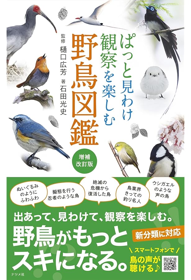 日本の鳥300 改訂版 (ポケット図鑑) | 叶内 拓哉 |本 | 通販 | Amazon
