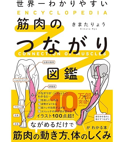セラバンド 2メートル10本セット　ゆゆ Amazon.co.jp: セラバンド グリーン（緑）2m 小冊子付
