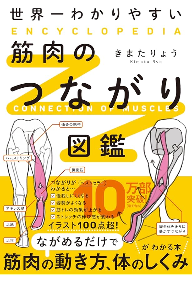 DVDでわかる! 筋膜リリースパーフェクトガイド──筋膜博士が