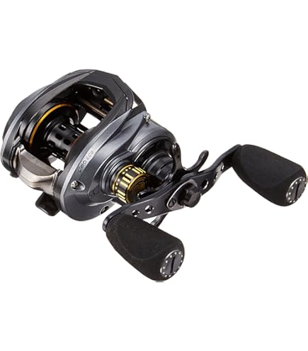 Amazon | アブガルシア(Abu Garcia) ベイトリール REVO LC6-L