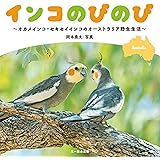 インコのびのびーオカメインコ・セキセイインコのオーストラリア野生生活