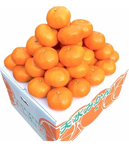 Amazon.co.jp: みかん 訳あり 大容量 箱込15キロ 熊本産 フルーツ