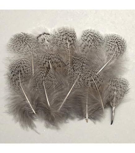 Amazon | グレイマラード 3g［002-Fe-20］オリーブ【メール便発送