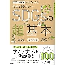今さら聞けないSDGsの超基本 やるべきことがすぐわかる (今さら