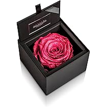 818tDs2dguL._AC_UL210_SR210,