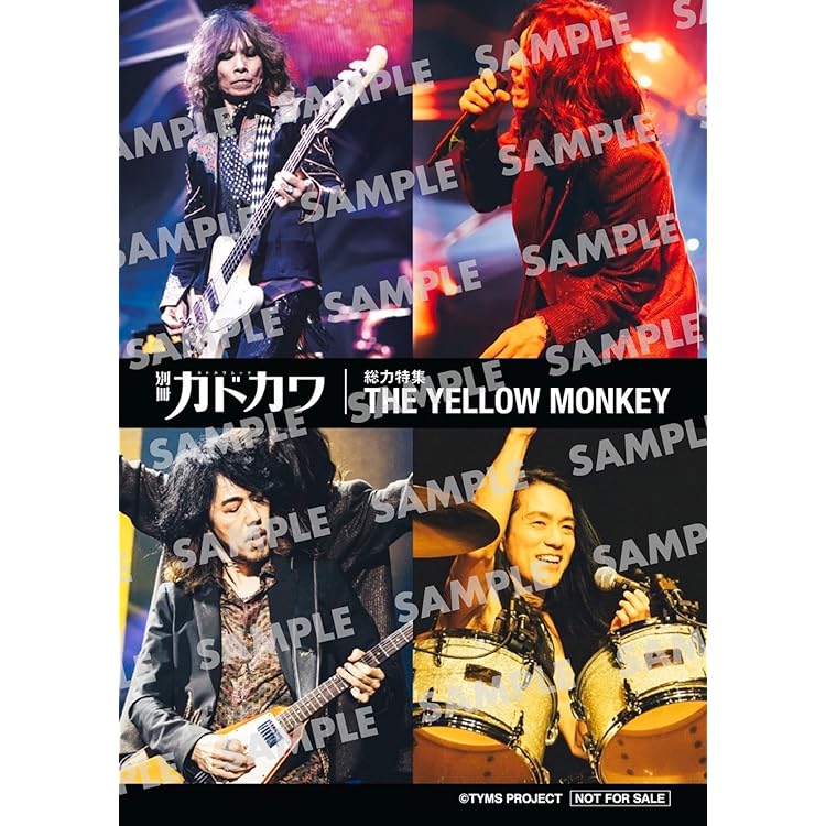 THE YELLOW MONKEY / CAT CITY FC&初回限定盤セット THE YELLOW MONKEY | ザ・イエロー・モンキー オフィシャルサイト