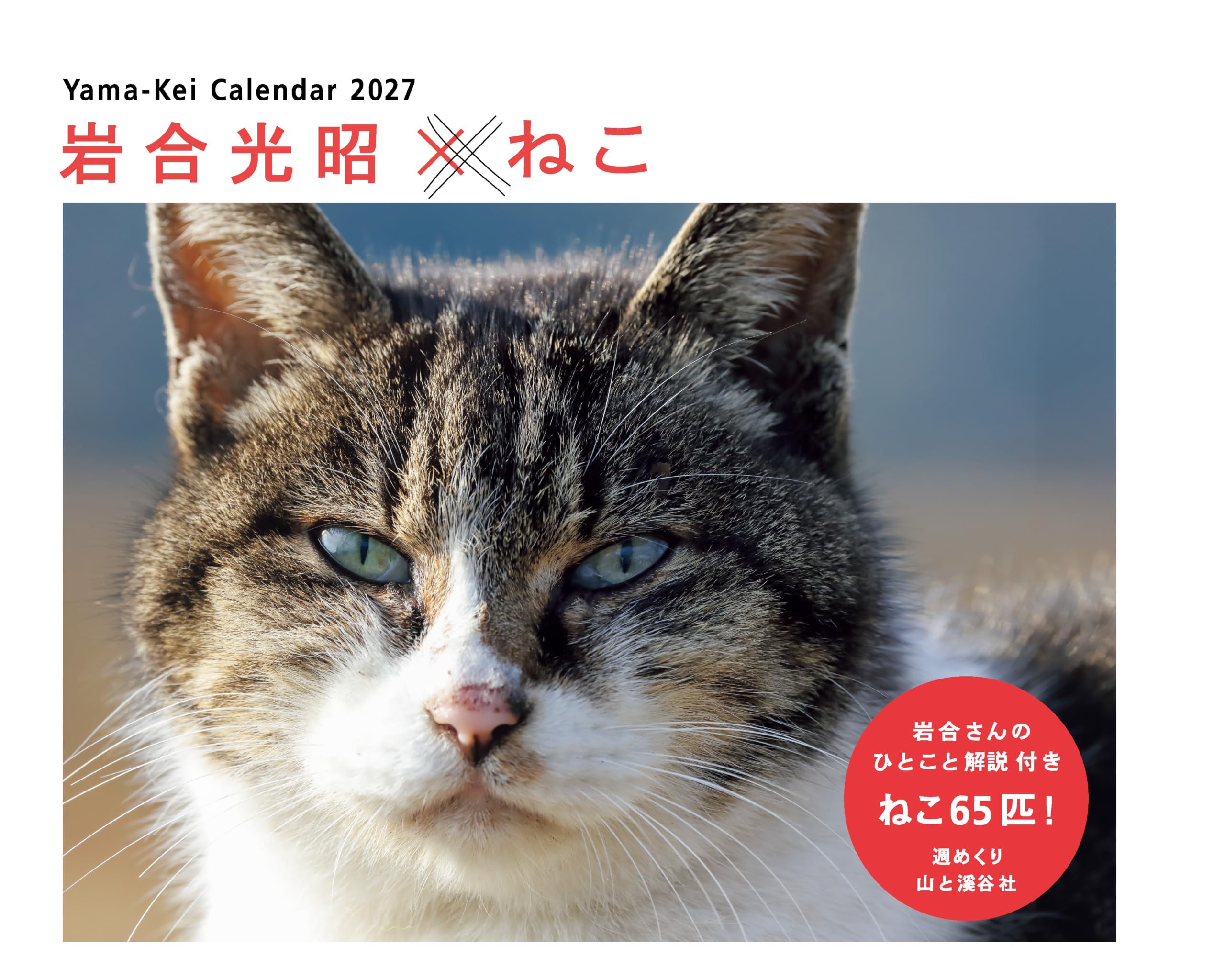 カレンダー2027 岩合光昭×ねこ(週めくり/卓上・リング/猫 風景) (ヤマケイカレンダー2027)
