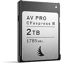 Angelbird エンジェルバードAV PRO SE CFexpress B Amazon.com: Angelbird AV PRO SE CFexpress B v4 1 TB