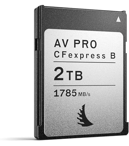 Amazon | Angelbird AV PRO SE CFexpress B v4 512 GB