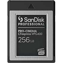 【 サンディスク 正規品 】 CFexpress Type B 256GB 最大 Amazon | 【 サンディスク 正規品 】 CFexpress Type B 256GB