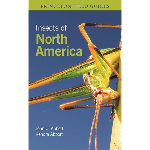 Amazon | The Insects: Structure and Function | Chapman, R. F.
