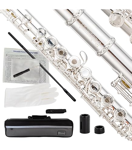 Gemeinhardt (ゲマインハート)2ESP 銀メッキ フルート ケース付 Amazon | Gemeinhardt シルバーメッキ (2SP) | フルート | 楽器・音響機器