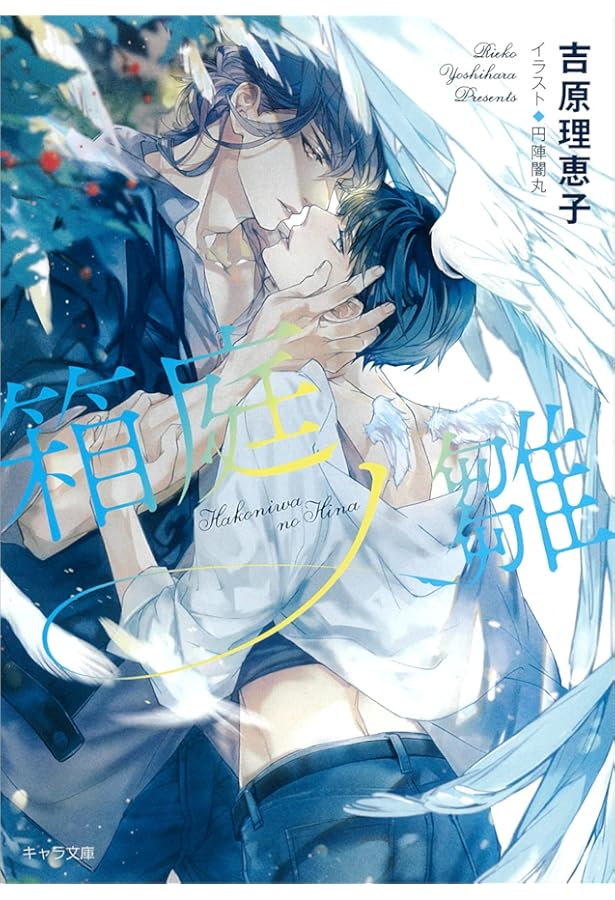 二重螺旋 メモリアルアート 複製原画 吉原理恵子 円陣闇丸 BL キャラ文庫 Amazon.co.jp: 水面ノ月 二重螺旋13 (キャラ文庫) : 吉原理恵子, 円陣