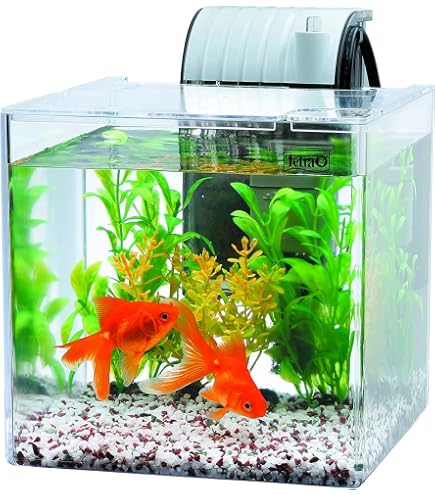 Amazon | GGR180ベタ飼育6点セット | 水作株式会社 | 飼育 