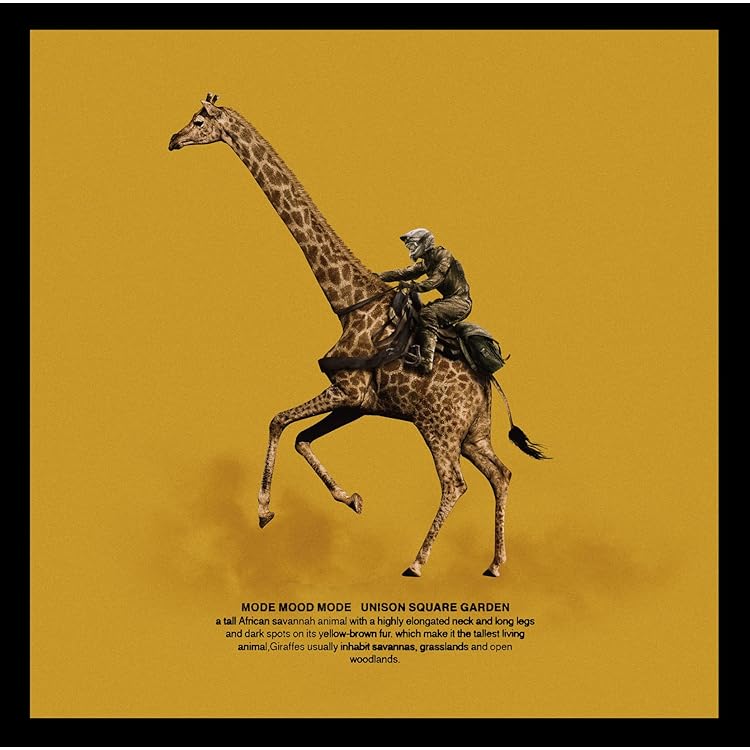UNISON SQUARE GARDEN CD 3点Patrick Vegee他 Amazon.co.jp: 「Patrick Vegee」(初回限定盤A)[CD+BD