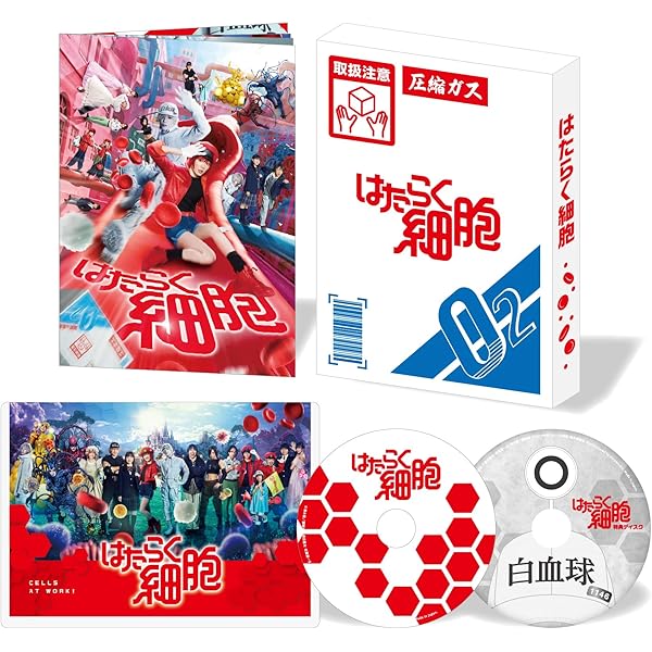 全融合整体完全攻略マニュアルDVD 3枚組特典ディスク付き 全融合整体完全攻略マニュアルDVD 3枚組特典ディスク付き