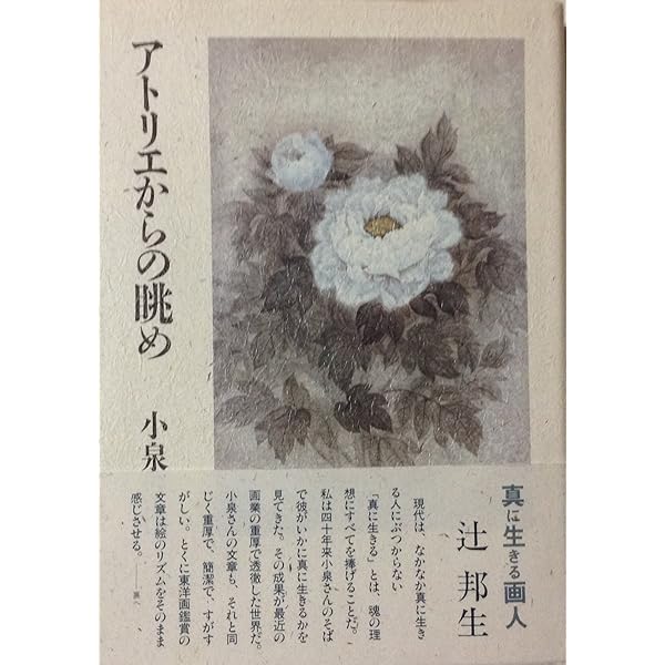 小泉淳作作品集 | 小泉 淳作 |本 | 通販 | Amazon