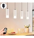 【即日発送可！】ペンダントライト Amazon.co.jp : LVWIT ペンダントライト LED一体型 60W相当 引掛