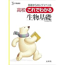 高校これでわかる古文・漢文 | 桑原 聡, 柳田 縁, 桑原 聡, 柳田 縁