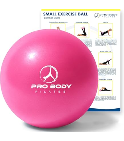 Amazon.co.jp: Balanced Body MOTR ピラティスバー、フィットネス用