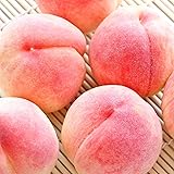 桃 3-5玉 大玉 もも 約1㎏(1玉約250g前後) 秀品 クール便/白鳳 日川白鳳 あまとう 夢みずき はつおとめ 加納岩 紅くにか 川中島白桃など 産地･品種お任せ 旬のものをお届け 果物 自宅用