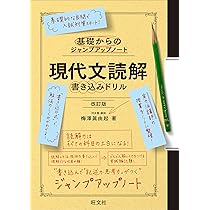評論読解DVD入門編2枚　テキスト付き 評論読解DVD入門編2枚 テキスト付き