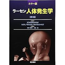 ラーセン最新人体発生学 : 学生版 ラーセン人体発生学 第4版 カラー版 | G.C.シェーンウォルフ |本
