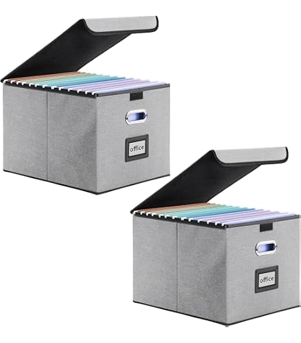 Leitz Premium Archive Box with Locking Flap, 120 mm Spine Width