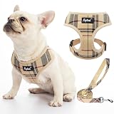 PUPTECK 犬 ハーネス リード セット 犬用 胴輪 はーねす 調節可能 着脱簡単 軽量 メッシュ 通気性 快適 ソフト 反射材付き 引っ張り防止 抜けない 喉に優しい 耐久性 散歩 安全 しつけ用 老犬介護 おしゃれ 小型犬 中型犬 大型犬 （ベージュ チェック, Lサイズ）