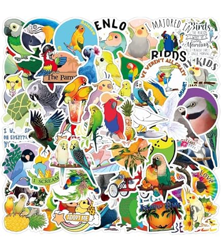 Amazon.co.jp: 50枚 インコ オウム ステッカー 防水 耐水 シール Amazon.co.jp: 50枚 インコ オウム ステッカー 防水 耐水 シール