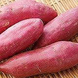 [みさわのやさい] 鳴門金時 さつまいも 5kg 国産 野菜 サツマイモ なると金時 徳島県産