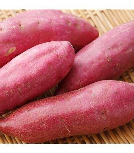 Amazon.co.jp: さつまいも 紅はるか 茨城県産 訳あり 土付き