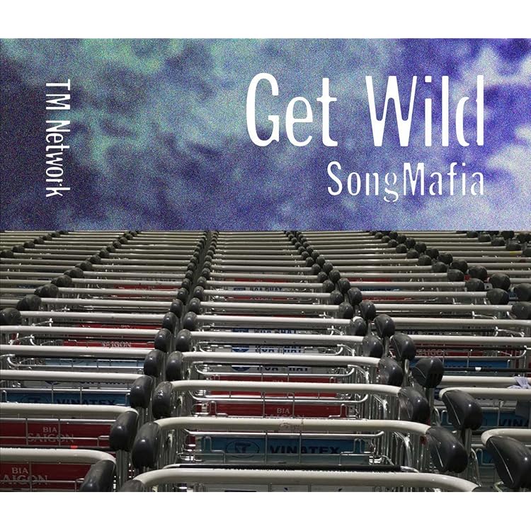 【希少CD】ALL the \"Get Wild\" TM NETWORK 希少CD】ALL the 