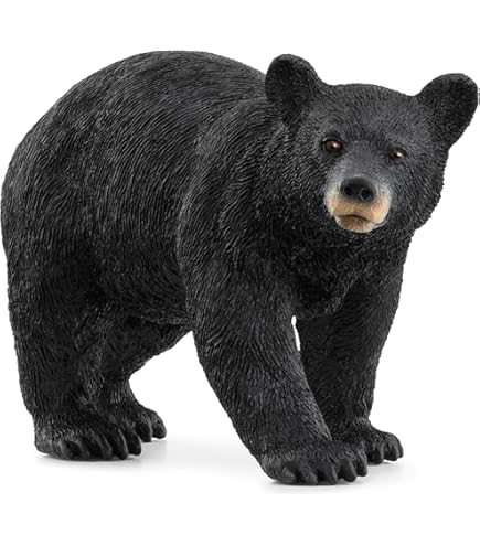 Amazon.co.jp: グレイトフルデッドベア GRATEFULL DEAD BeAN BEARの12