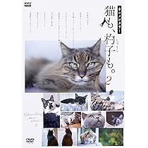 スコ座り猫。 DVD スコ座り猫。 DVD