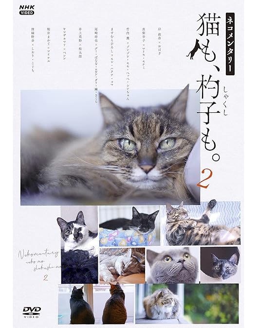 【CD】猫も杓子もツイスト(250903) Amazon.co.jp: 新装版 猫も杓子も (文春文庫) : 田辺 聖子: 本