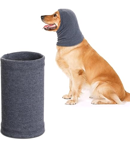 Hondensnood