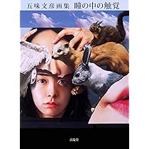 Amazon.co.jp: 瞳の中の触覚: 五味文彦画集 : 五味 文彦: 本